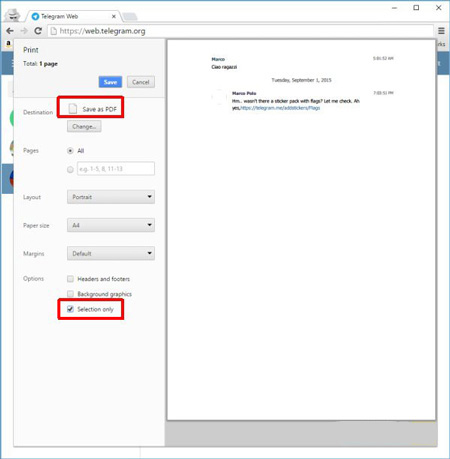 مرورگر اینترنتی, گرفتن خروجی PDF از مکالمات تلگرام